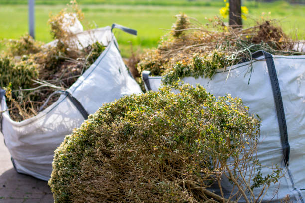 Best Junk Hauling Services  in Sullivans Island, SC